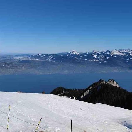 Studio Myrtilles Du Leman Vue Sur Lac Et Montagne Thollon-les-Memises Екстериор снимка