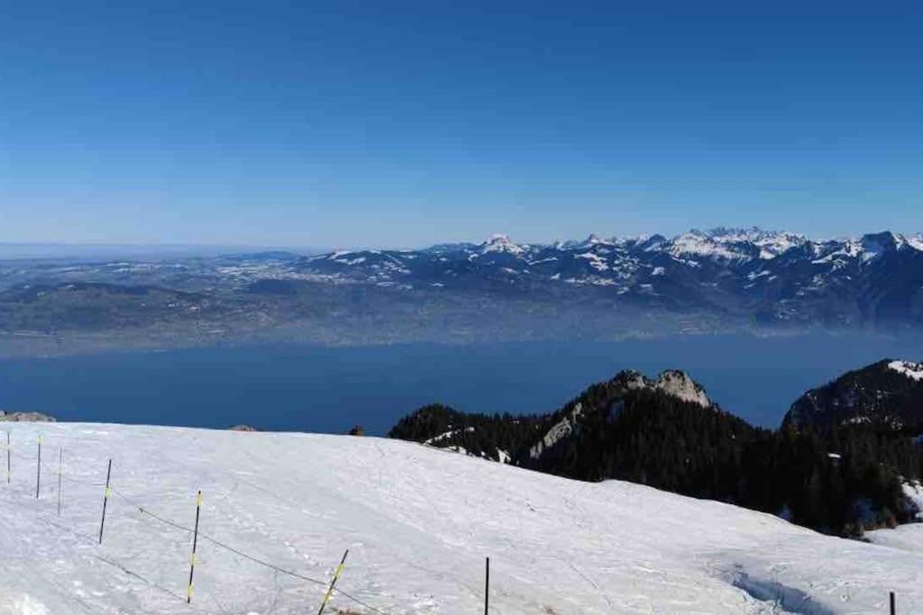 Studio Myrtilles Du Leman Vue Sur Lac Et Montagne Thollon-les-Memises Екстериор снимка