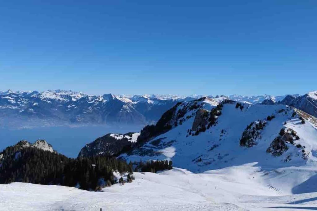 Studio Myrtilles Du Leman Vue Sur Lac Et Montagne Thollon-les-Memises Екстериор снимка