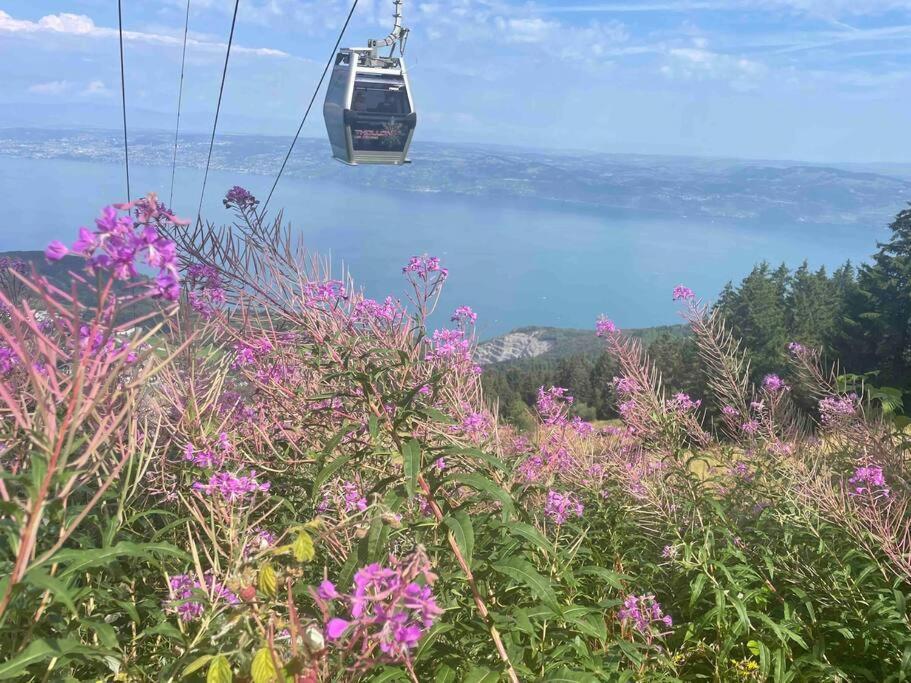 Studio Myrtilles Du Leman Vue Sur Lac Et Montagne Thollon-les-Memises Екстериор снимка
